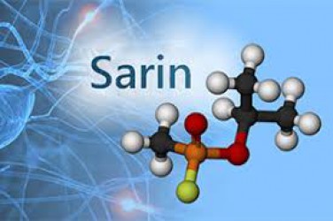 sarin-na-velky-hmyz.jpg