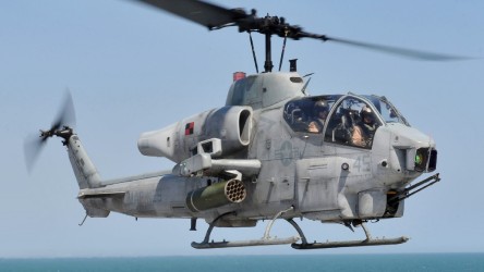 viper-bambivak.jpg