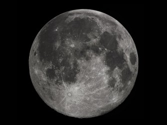 mesic-1-980x735.jpg