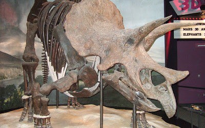 letajici-triceratops-jako-dron-a-prehled-klidne-situace.jpg